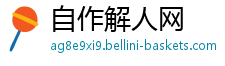 自作解人网